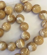Genuine Beads Brown Trochus, 10mm